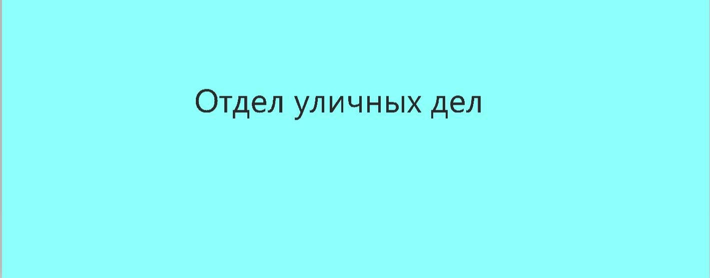 Отдел уличных дел