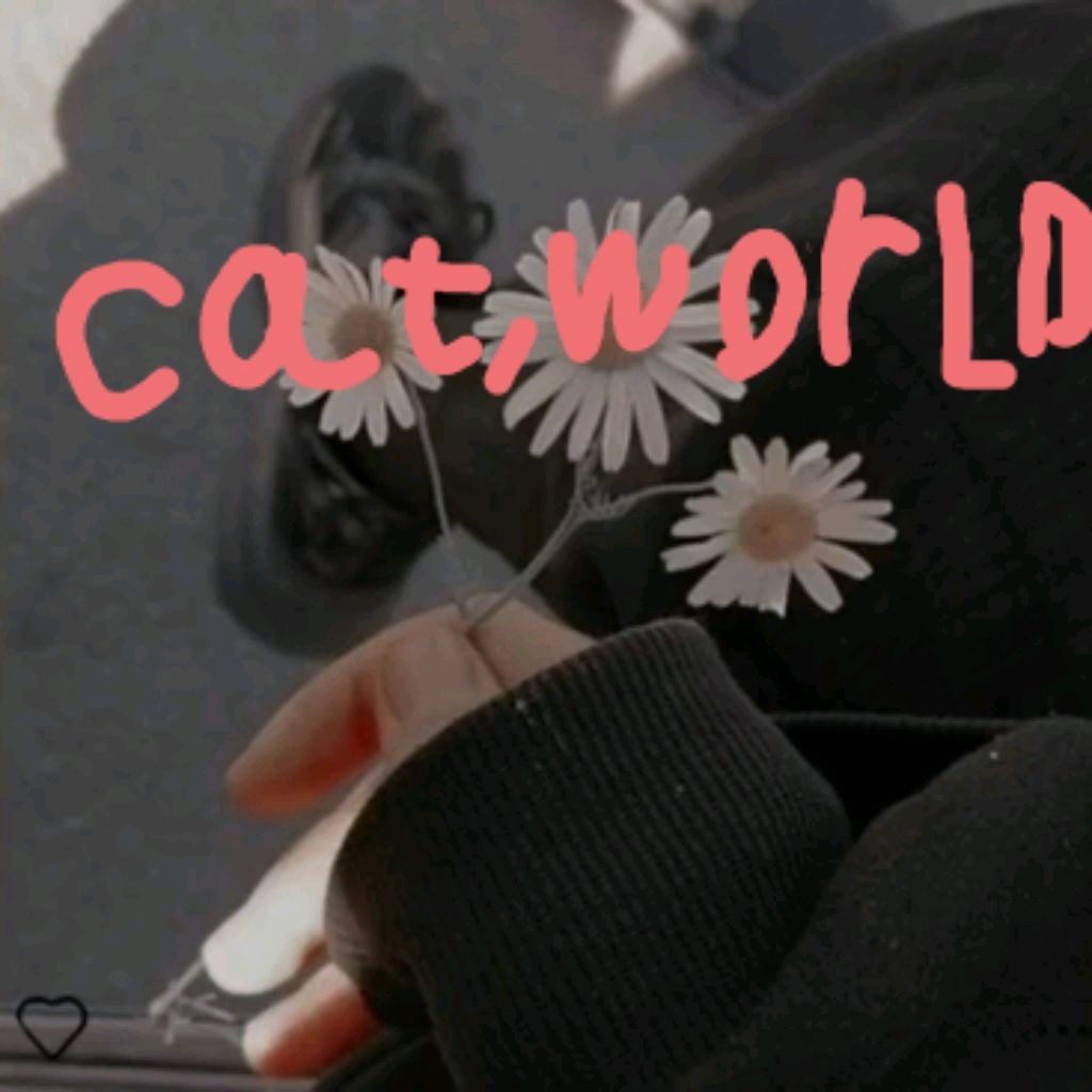 💦💘🔪Cat Family 🌿World💦💘🔪