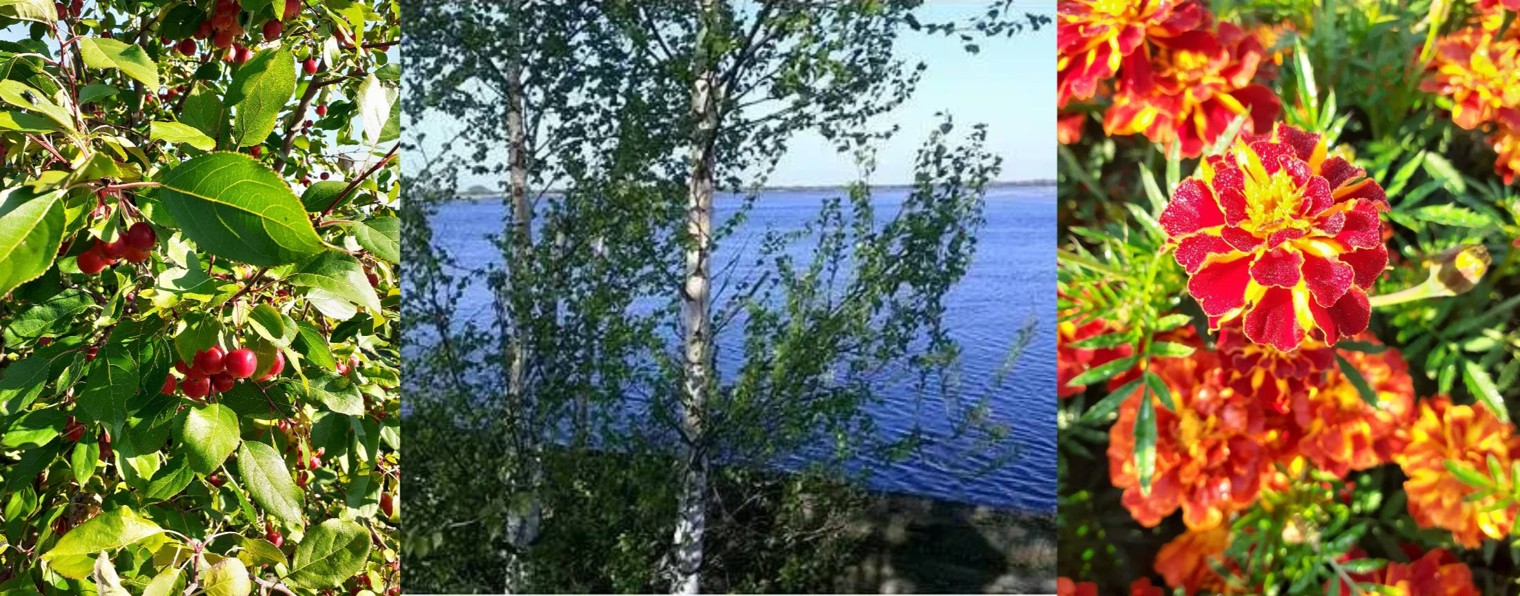 Кондинские заметки