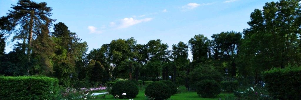 Дарья и Куклы