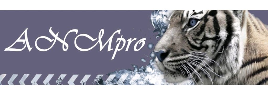 Алексей Малютин (ANMpro)