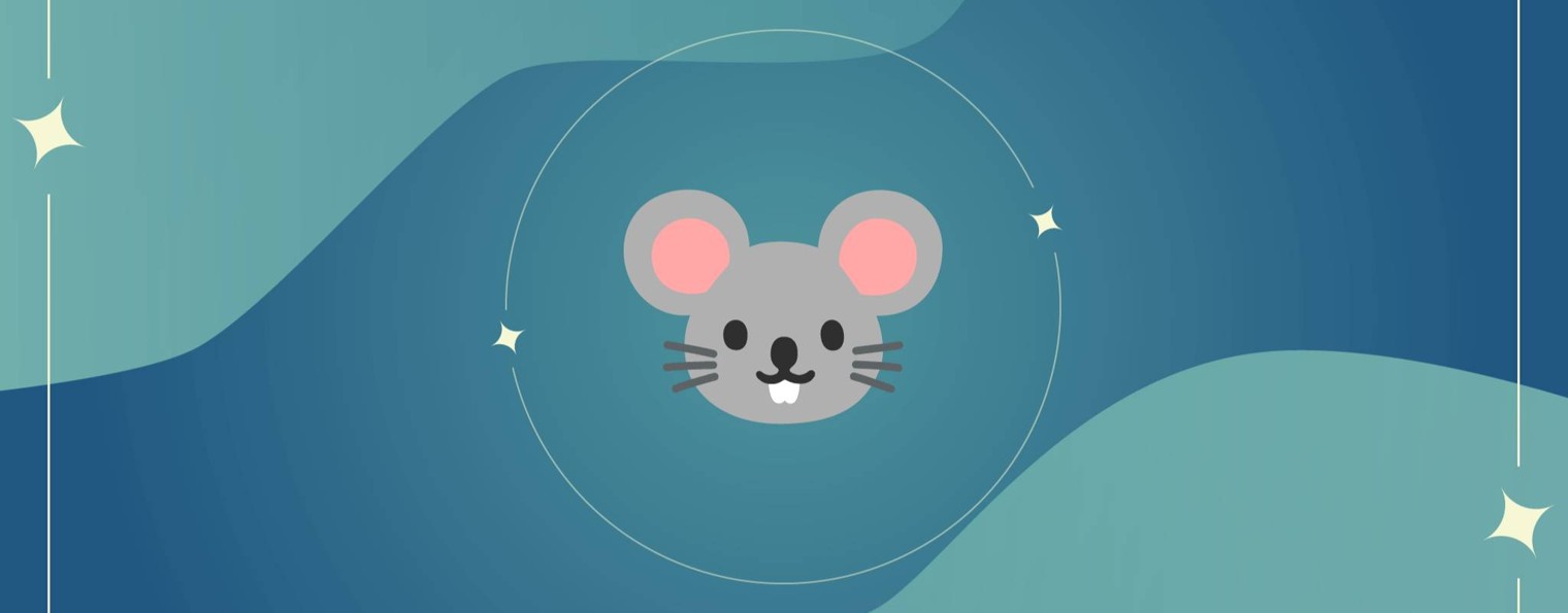 AliAnn_Kein