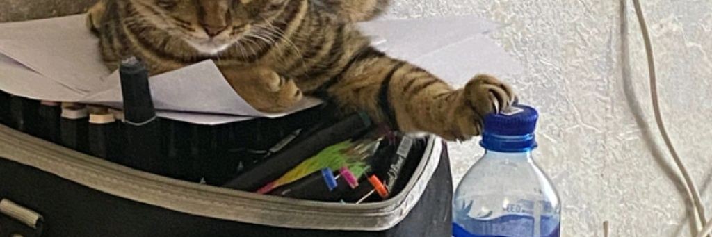 БУМАЖНАЯ_🩷🌸🩷_СТРАНА