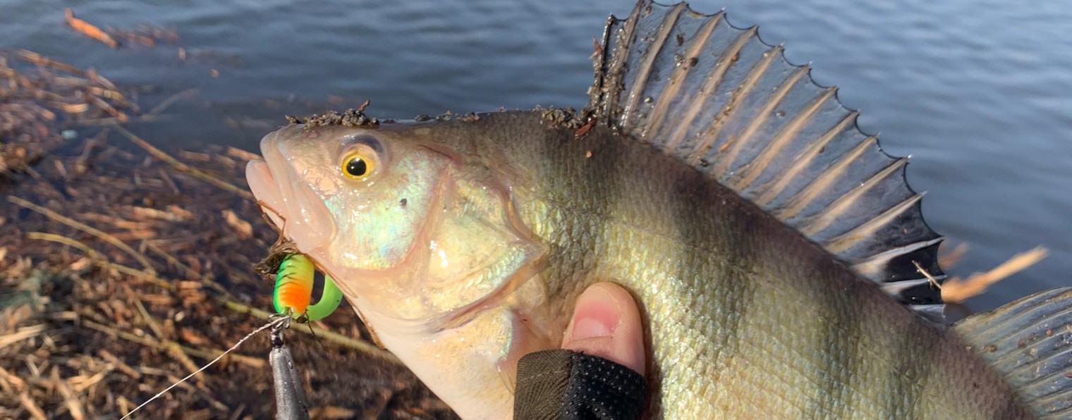 Миша Fishing NSK