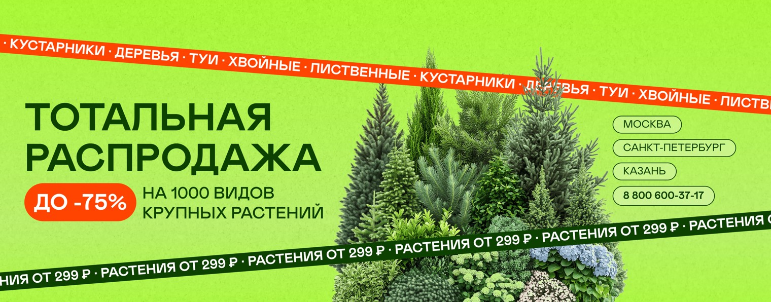 pitomnikecoplant