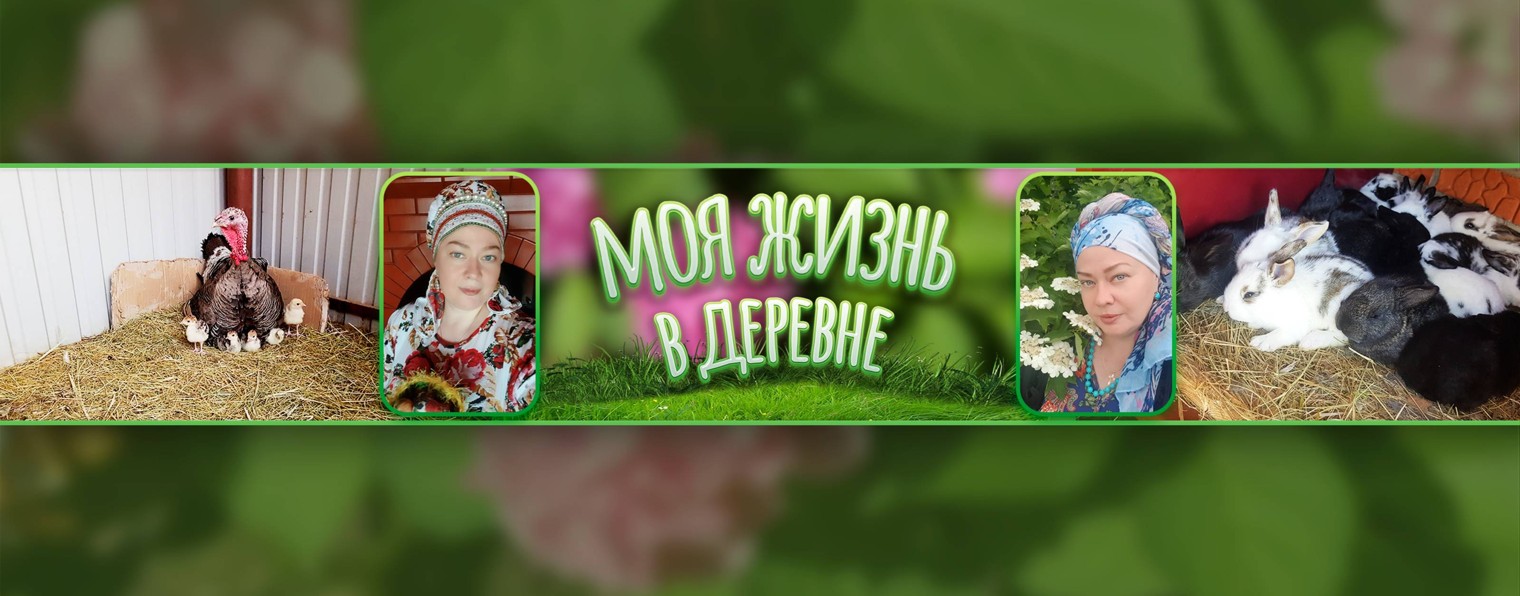 Моя жизнь в деревне