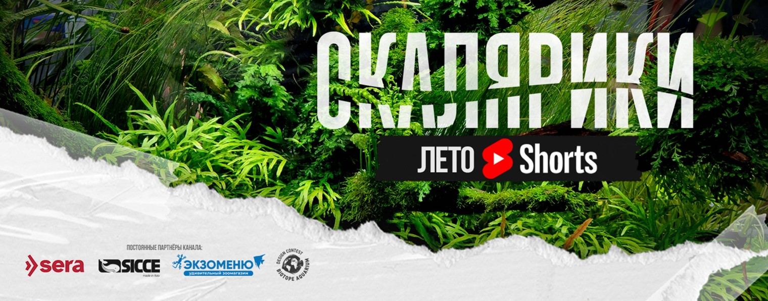 Скалярики