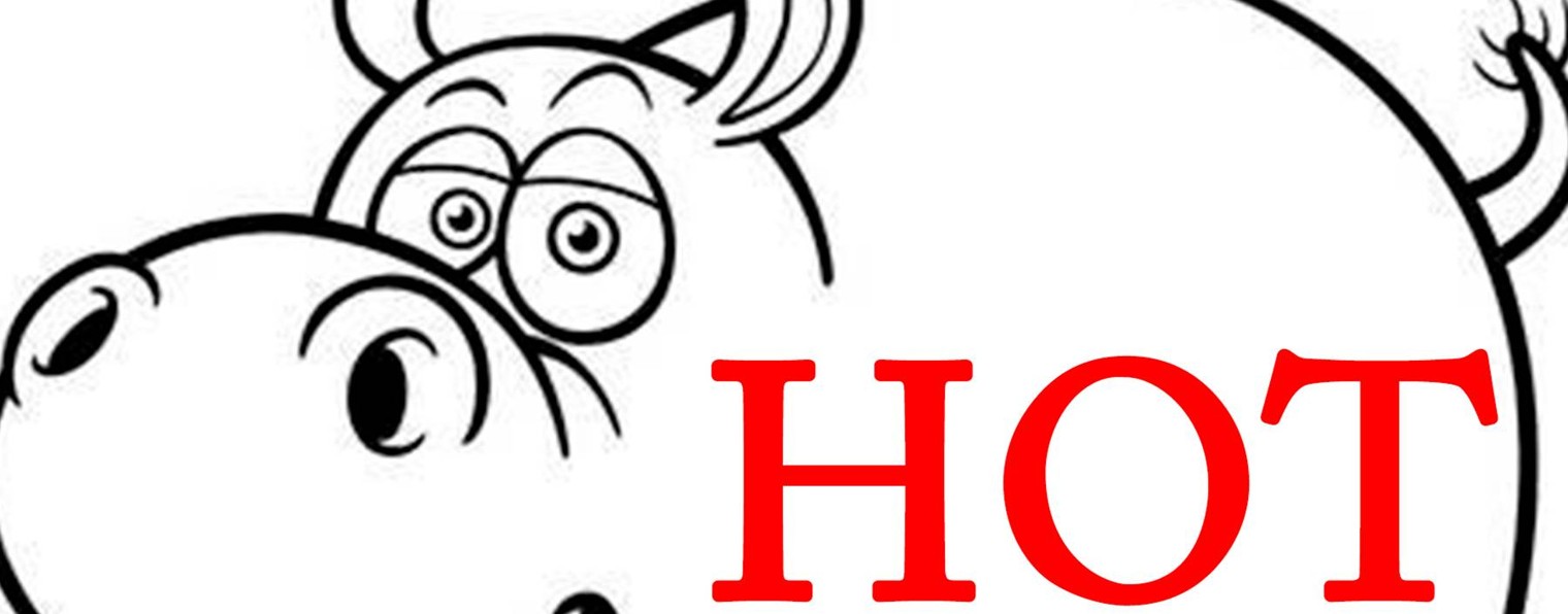 Hot Begemot