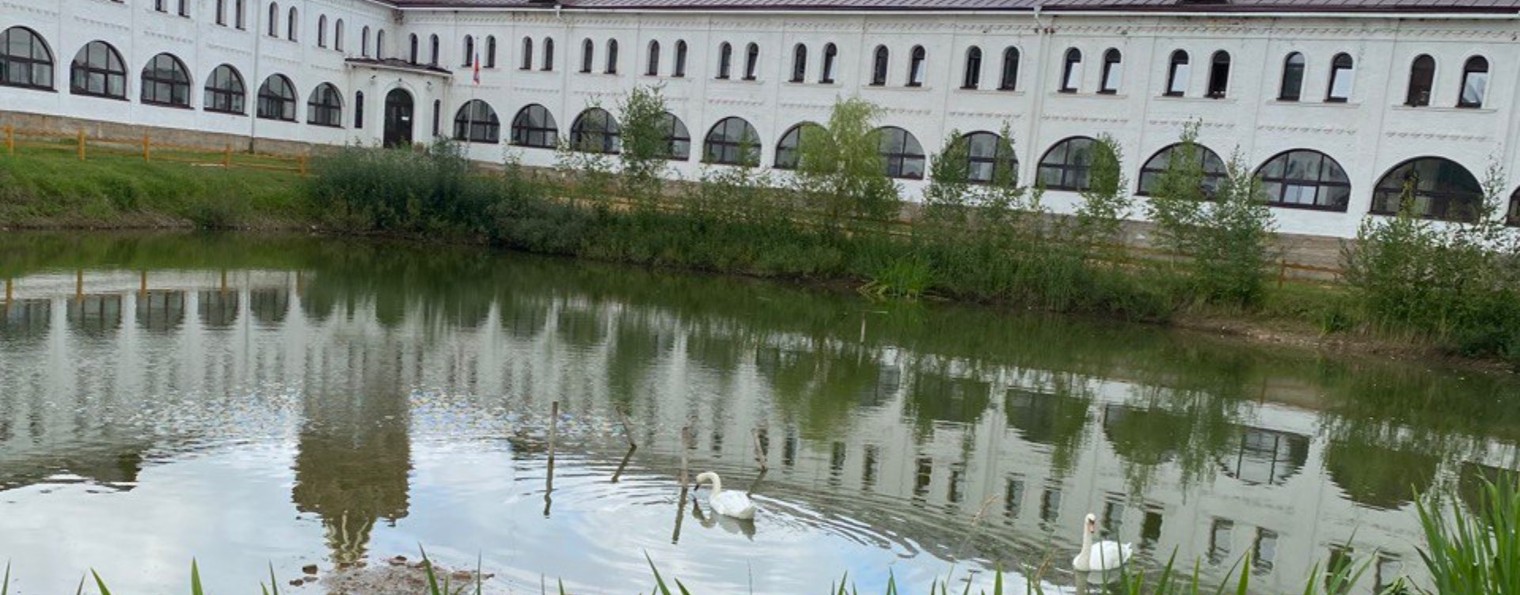 Партнерство_бизнес_любимое дело