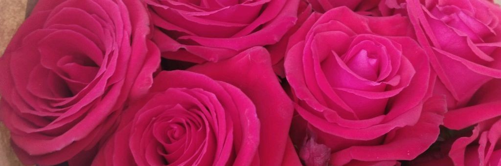 Света Сью 🌷💝