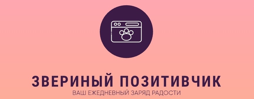 Звериный Позитивчик