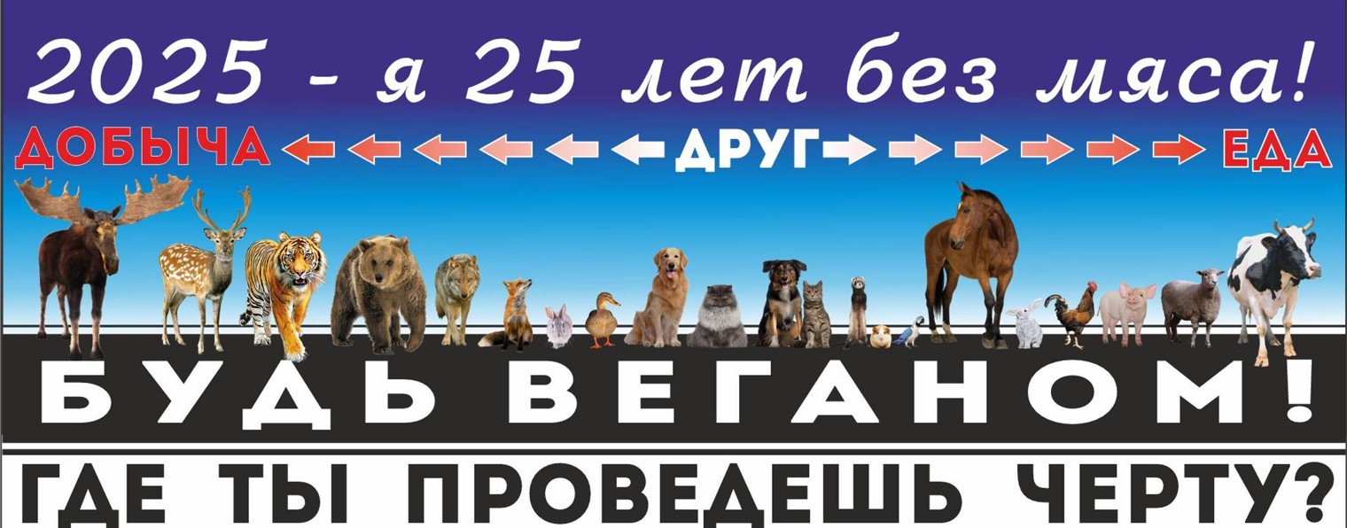 Веганство - норма жизни