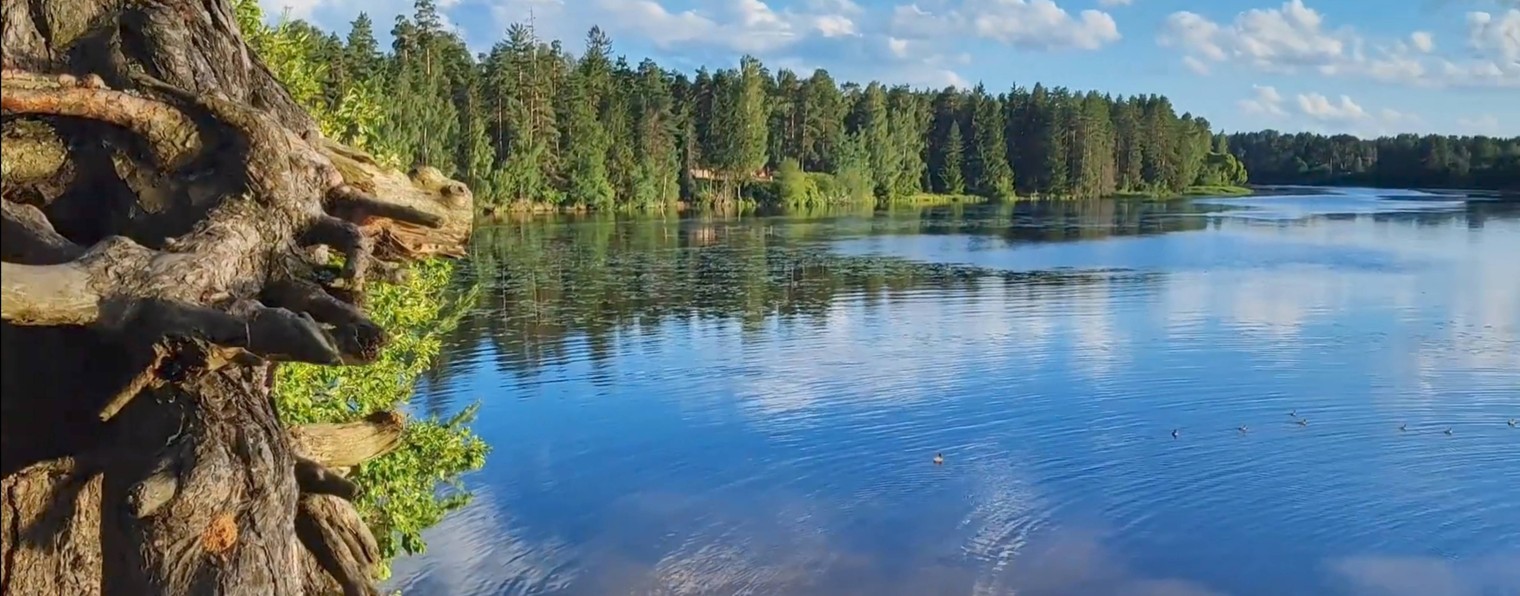 🔷 ФОНД ВИДЕО 🚩 Строительство своего дома