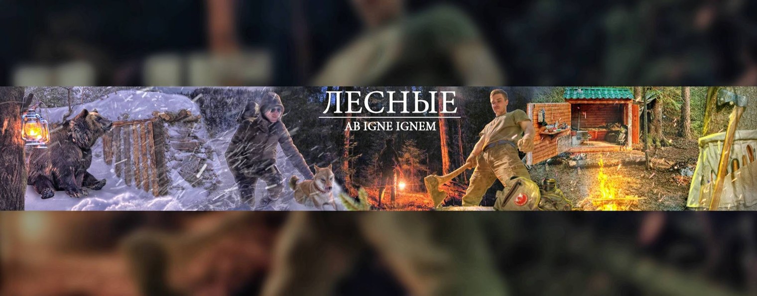 ЛЕСНЫЕ