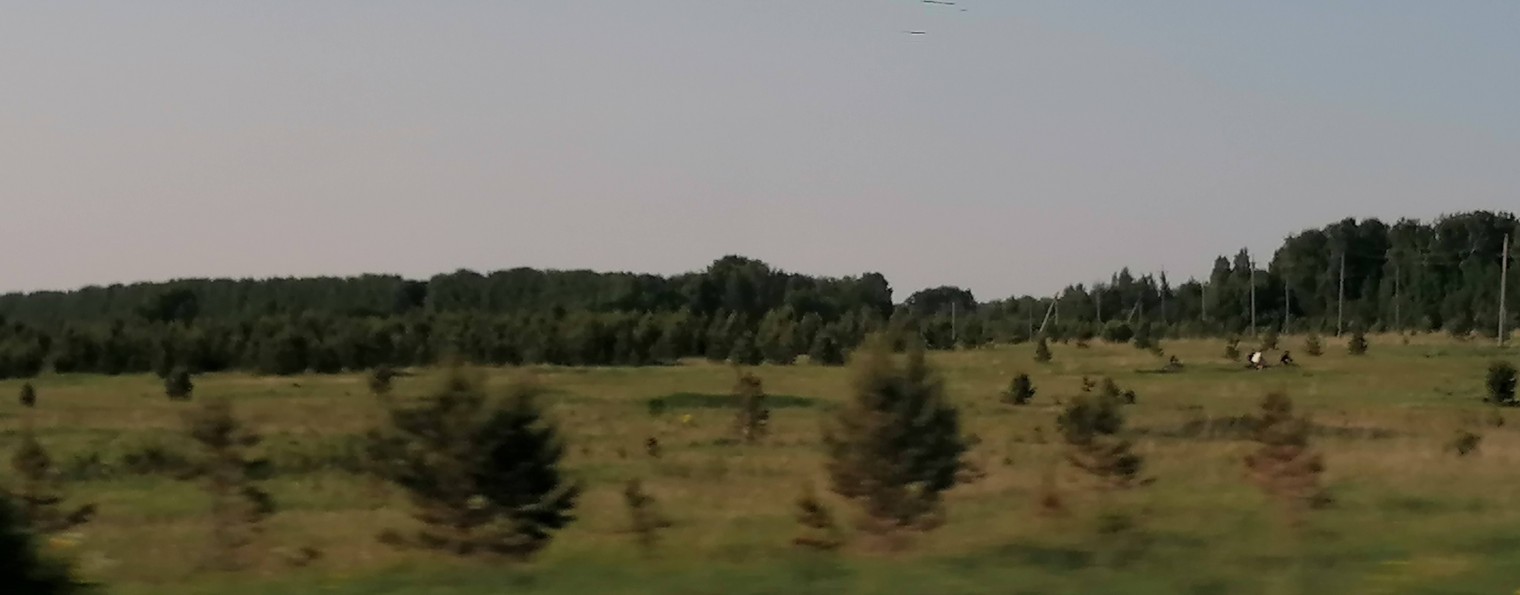 TimiksOMG