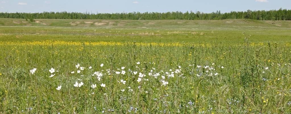 Николай Артемьев
