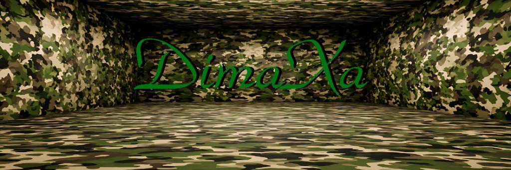 DimaXa Group