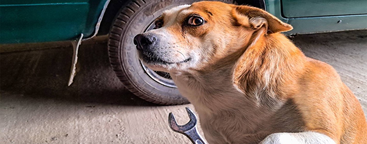 КЛЮЧ НА 17