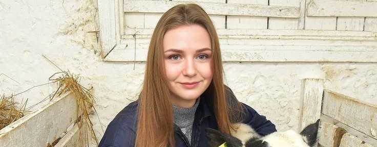 Катосик