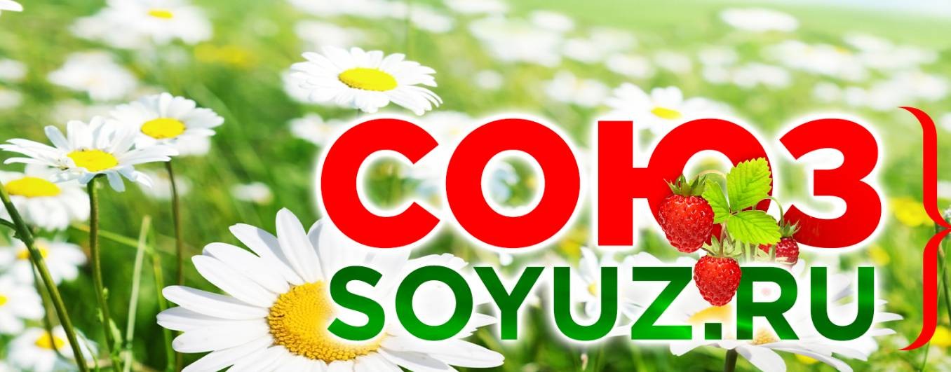 СОЮЗ. Аудиокниги