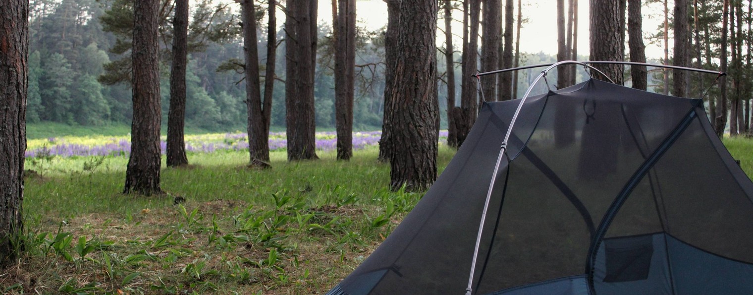 Сами с Усами