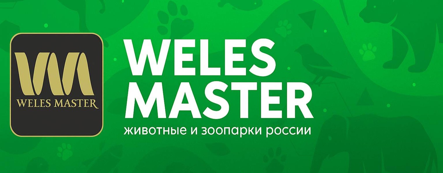 WELES MASTER - созданный русским народом