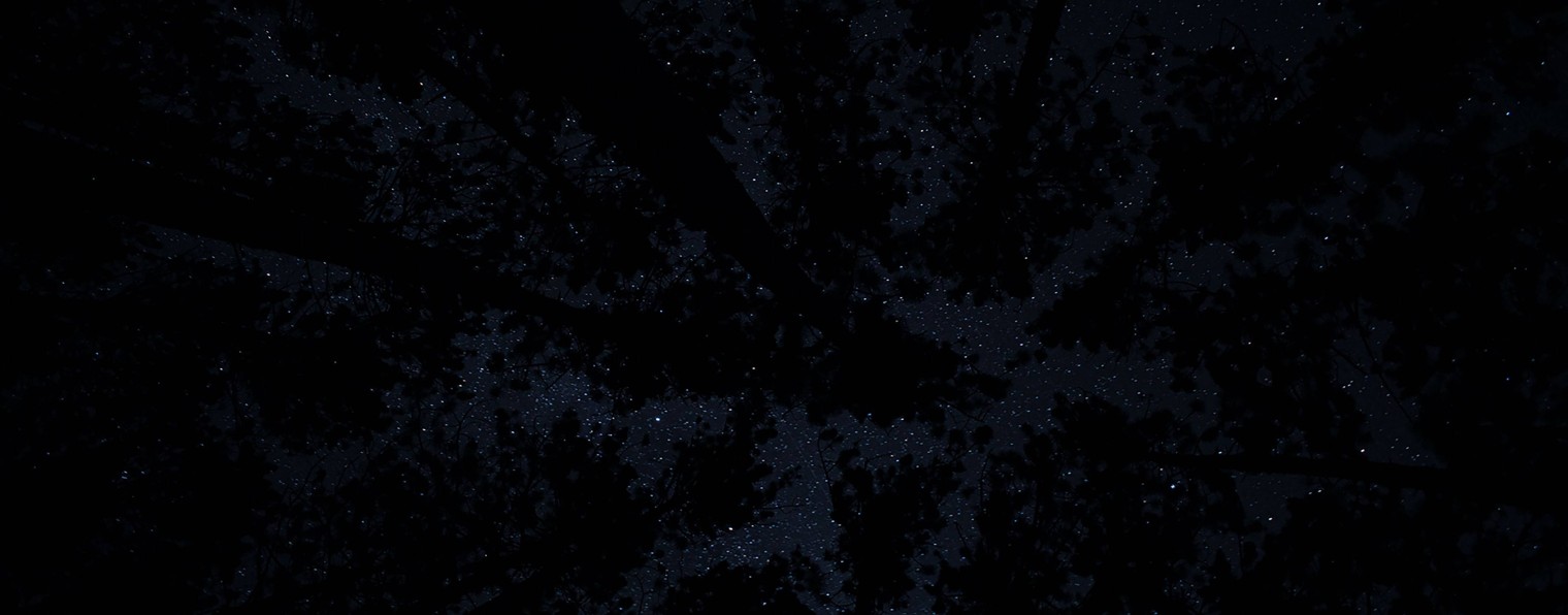 Dark_Persival '-'