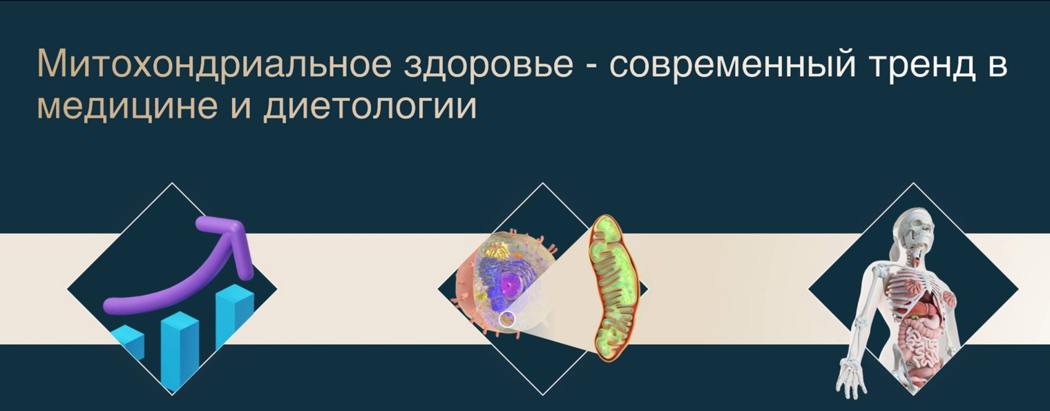 МИТОХОНДРИАЛЬНОЕ ЗДОРОВЬЕ и БИЗНЕС В НИШЕ МХ