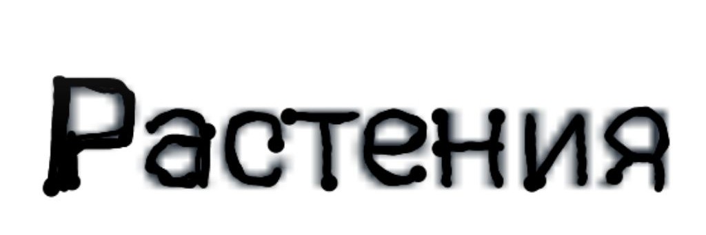 Растения