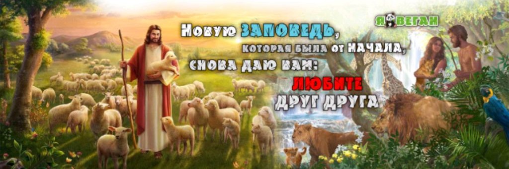 ХРИСТОЛЮБ ✝️ ВЕГАН 💚 ПАЦИФИСТ ☮️ КОСМОПОЛИТ 🌎