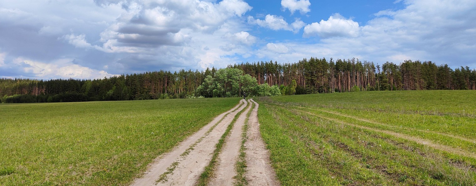 РульДаКолеса