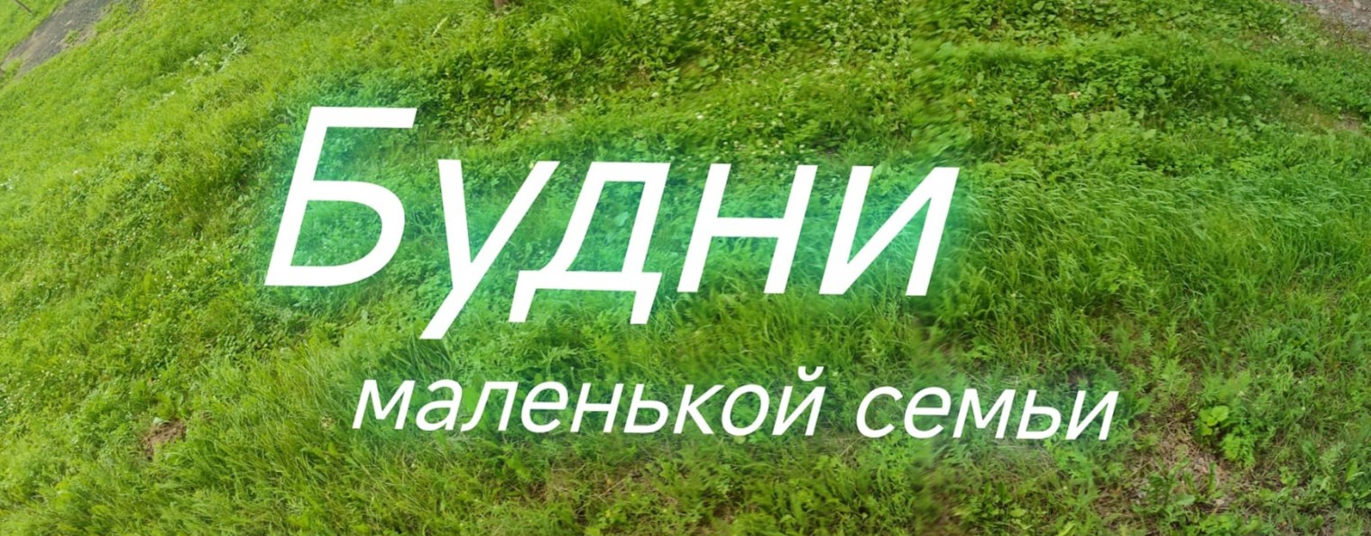 Мама, дочка, кот и кошка