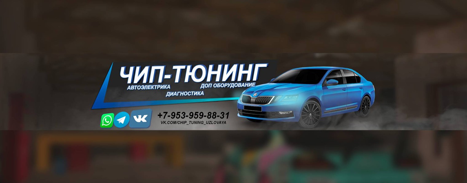DL Chip - Чип-тюнинг - Автоэлектрик