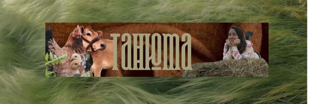 Танюта Цехмистрова