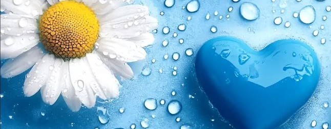 Надёжная и пушистая