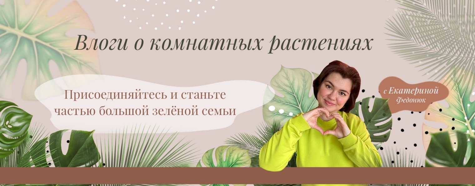 Клуб любителей комнатных растений «Фикус»