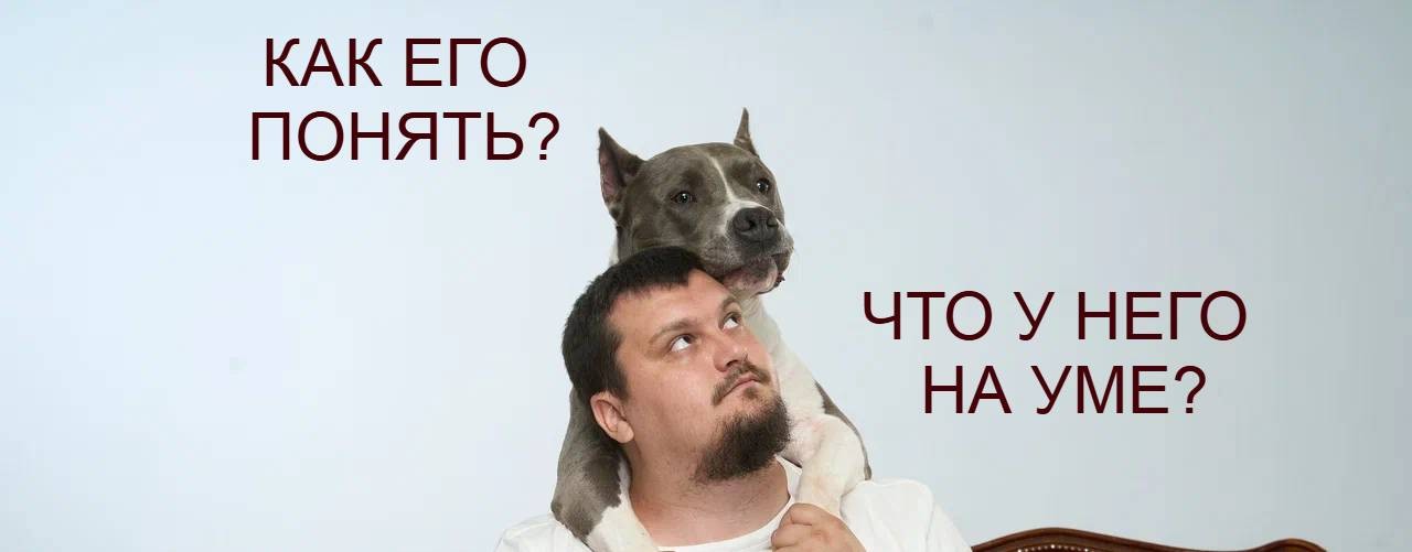 Александр Волков КОРДОГ