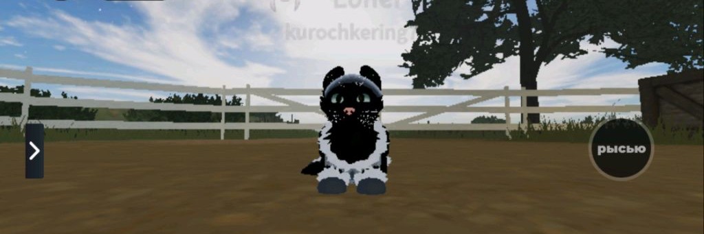 Теневая Аура Wc:ue