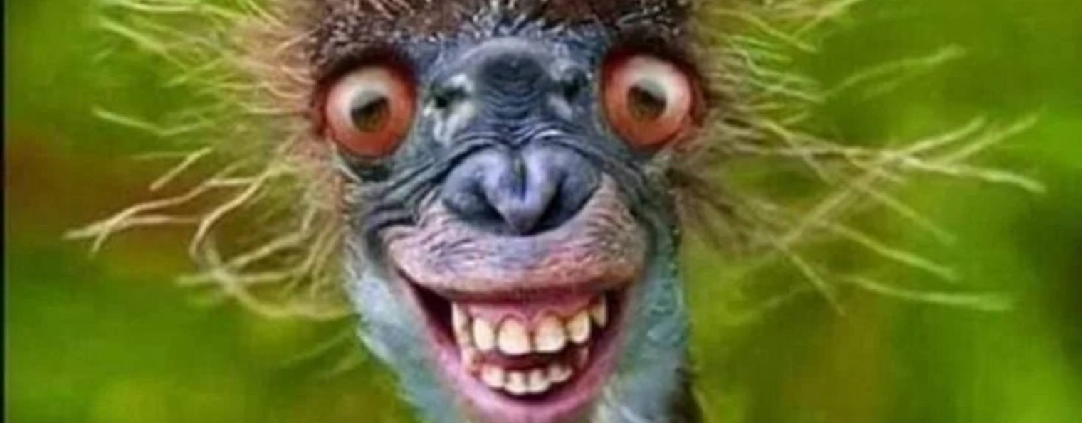 Животные-приколы и Не Только😄😊👅