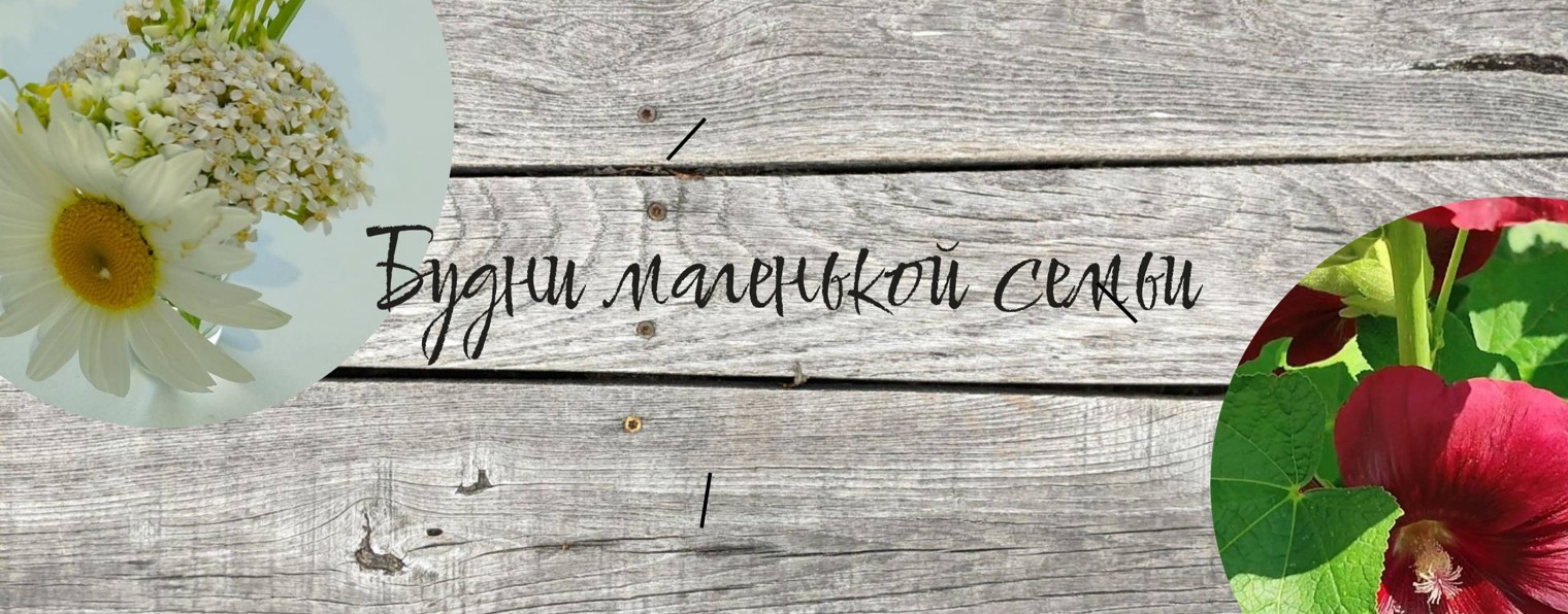 Мама, дочка, кот и кошка
