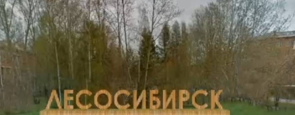 channel33905007