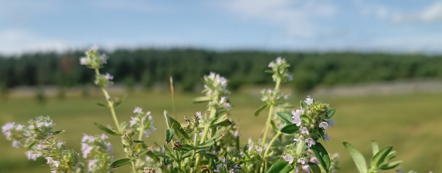 Занесло куда-то