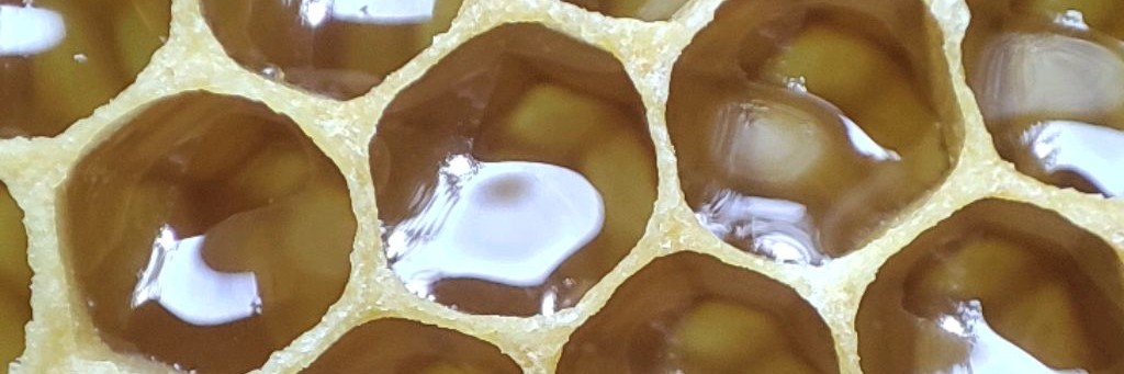 Кладовая Мёда 🐝