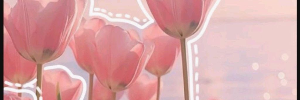 🍒Моя Жизнь🍒