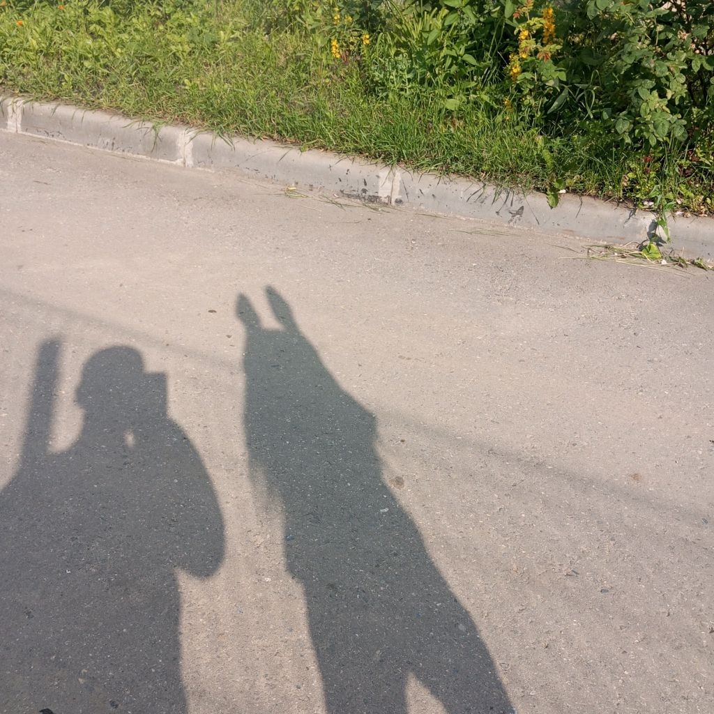 🐰Кикочка кролик 🐇