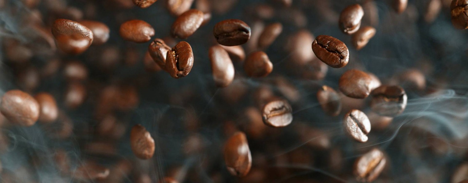 Katya | Coffee Lab