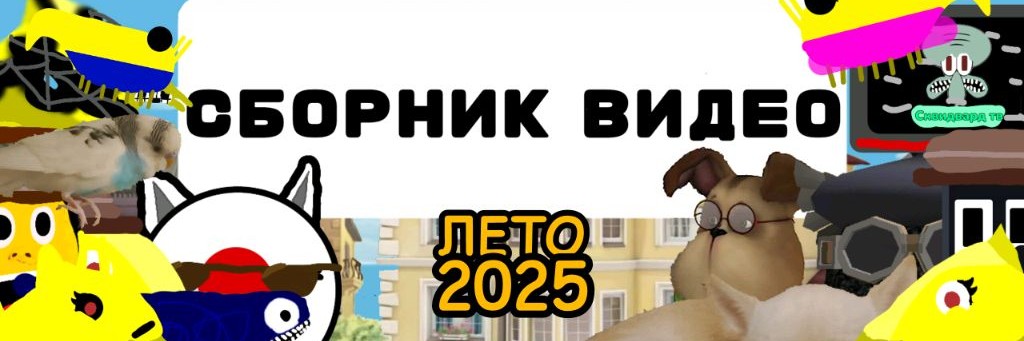 Сборник Видео Студия