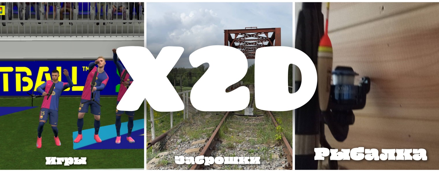 X2D