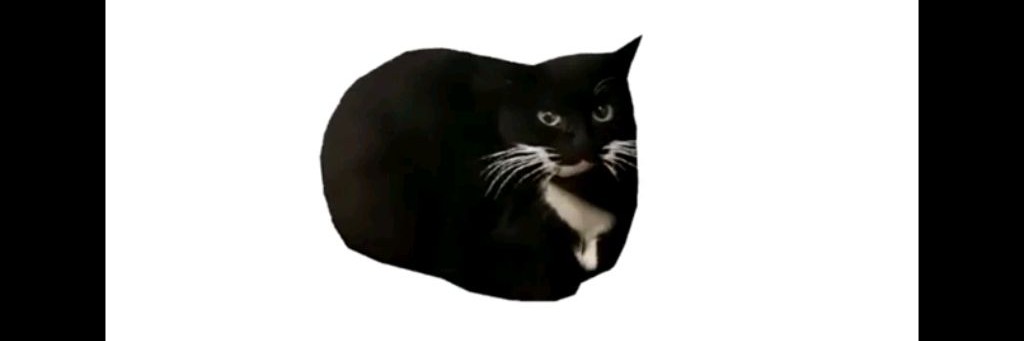 кот масквел