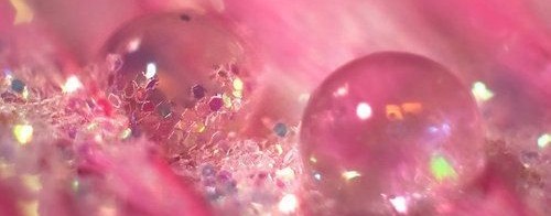 Морики Дорики